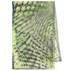 Солнечные блики